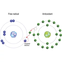 Mi a REDOX potenciál és mi köze az egészségéhez ?